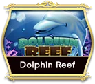 Dolphin Reef game icon