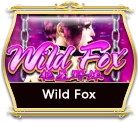 Wild Fox game icon